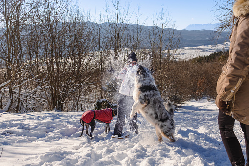 Women taking their dogs for a walk in the snow-covered woods