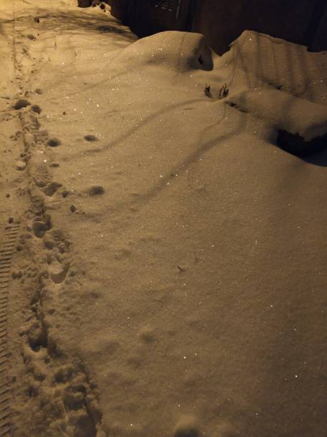 istock The snow sparkles in the evening light 1960127039