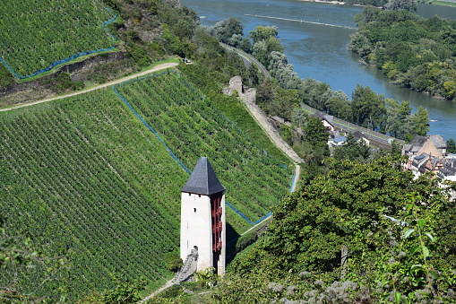 Bacharach, Germany - 09/05/2023: white tower in the vineyards