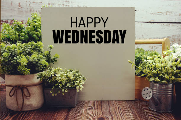 istock Happy Wednesday text message with artificial plant decoration on wooden background 1960156825