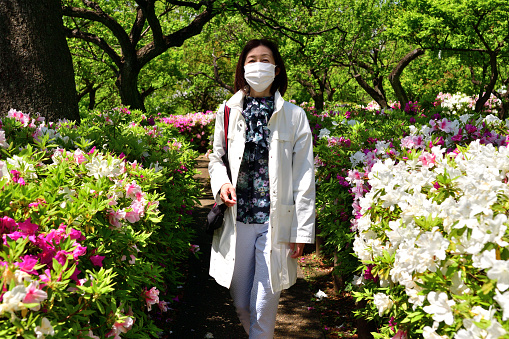 A Japanese woman, with face mask, is walking and enjoying azalea flowers of different colors in full bloom, taking selfie, in Hanegi Park, a public park in Setagaya Ward, Tokyo, on a fine spring day. The green leaves in the background are those of plum trees, for which the park is famous. Setagaya Ward is popular residential area of Tokyo.