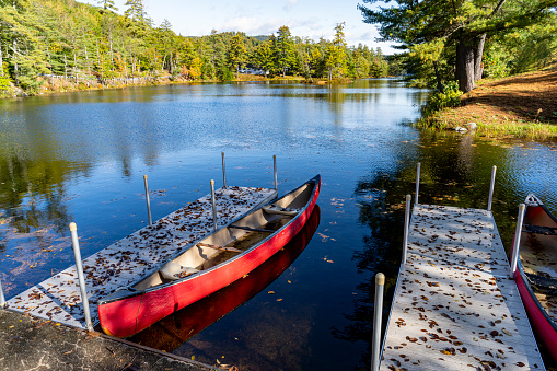 two canoes empty on shore in algonquin park