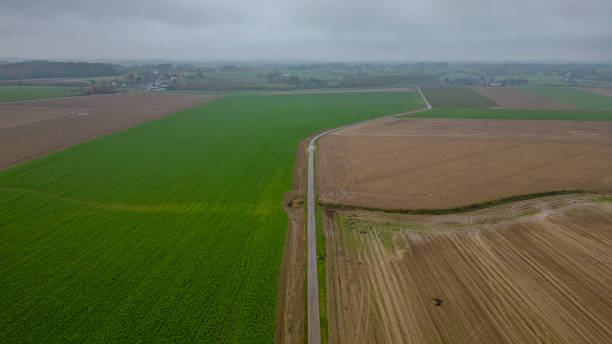 istock Overcast Harmony, The Dividing Road 1960169806