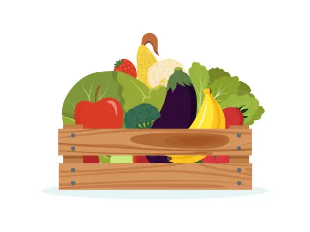 Vector illustration of Wooden box with fruits and vegetables. Local organic harvested crops in a wooden box. Harvest gathering time. Agricultural concept. Textured flat vector illustration isolated on white background