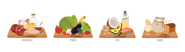 ilustraciones, imágenes clip art, dibujos animados e iconos de stock de nutrientes alimentarios. comida de carbohidratos. grano proteico. grasa en carne y queso. carbohidratos en fibra. productos de nutrición. categoría microelementos. tipos de dieta. complejo alimentario. conjunto de ilustraciones vectoriales - fibra dietética