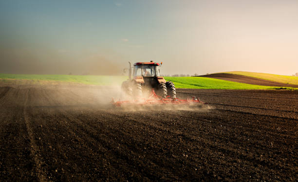 istock Farmer in tractor preparing land for sowing 1960263342