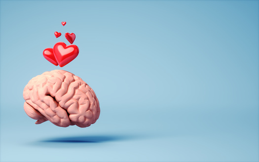 3d Render Red Hearts Above Human Brain on Soft Blue Background, Concept of Love and Affection, Valentine's day(close-up)