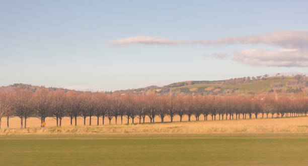 Agricultural habitat around  perth scotland england UK