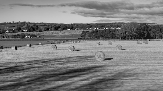 Straw bales near Løgstør, in the summer afternoon sun