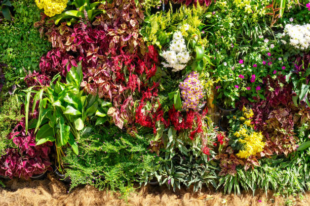 Close up of living wall with multiple colorful flower