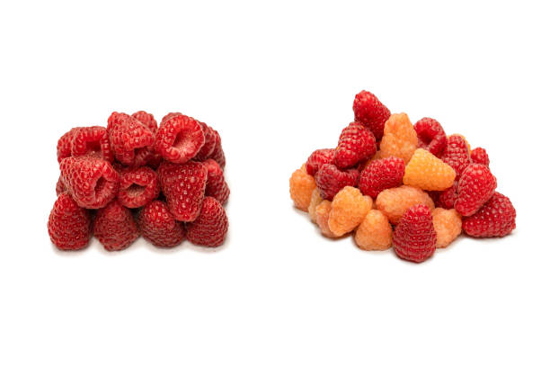 istock Tasty raspberries isolated on  white background. 1960343708