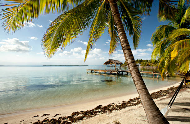 istock Belize island South Water Caye. 1960346457