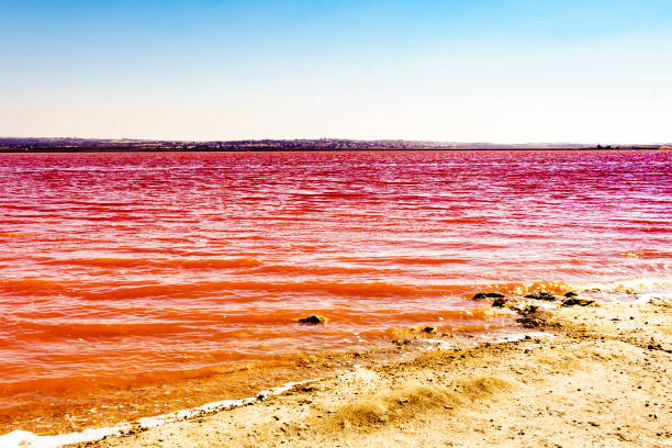 istock Pink lake, coastal landscape, Spain 1960358225