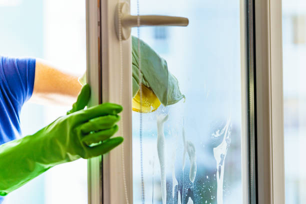 istock Woman cleaning window at home 1960382539