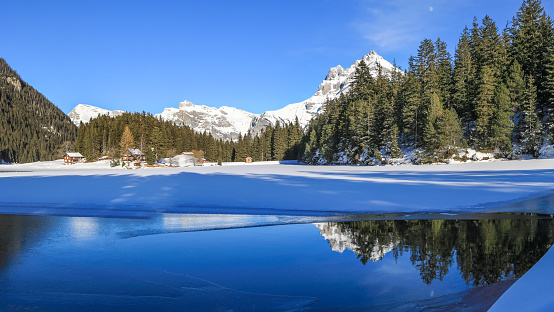 Patagonia, Bariloche. Island Isla Victoria and Arrayanes forest scenic landscape.