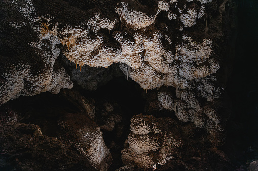 Unique calcite formations in Jewel Cave National Monument called nailhead spar that cover the cave in a jewel-like texture.