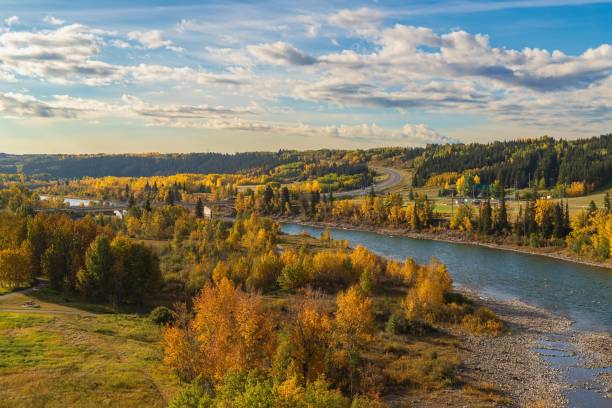 istock Autumn Forest By The River Valley 1960389636