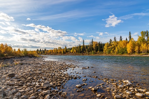 A panoramic view of fall colours by the Bow River in Cochrane.