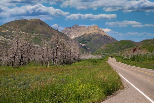 istock Road Through The Mountains In The Summertime 1960391789