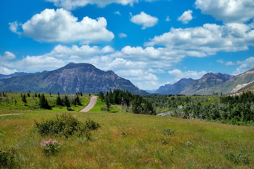 A cloudy blue sky over mountains and a lush field in Waterton Lakes National Park in the summer.