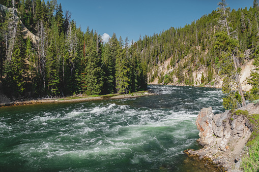 The Yellowstone River flowing past the Lower Falls observation point, in Yellowstone National Park.