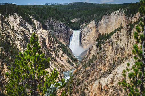 View of the Lower Falls of the Yellowstone River in Yellowstone National Park.
