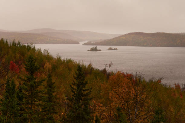 rain over the lake - meteorology rain fog forest foto e immagini stock