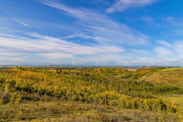 istock Panoramic Lookout Of Mountains And Fall Trees 1960396176