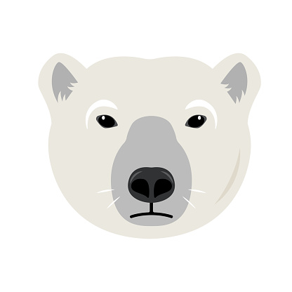 White Polar Bear head or face front view. Wild polar Bear animal of the Arctic and the Arctic Circle. Vector icon illustration isolated on white background.