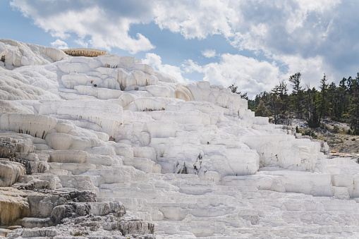 Travertine terraces at the Mammoth Hot Springs in Yellowstone National Park.