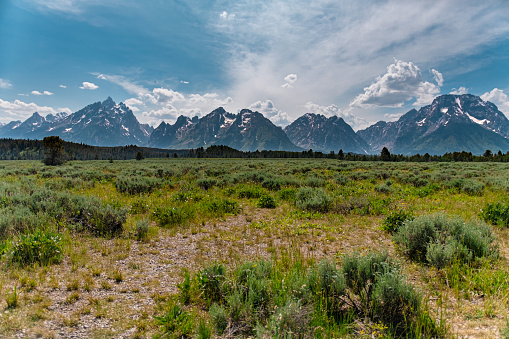 Snowcapped mountains on the horizon of in Grand Teton National Park.