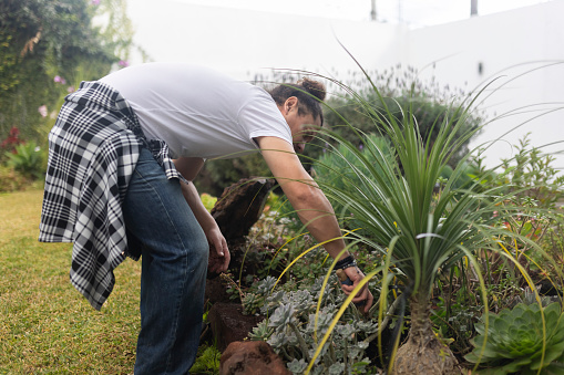 A gardener feeding earthworms