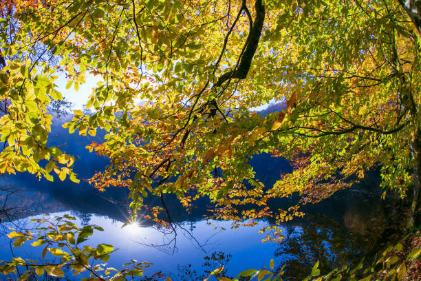 istock Seven Lakes National Park_6 1960443398