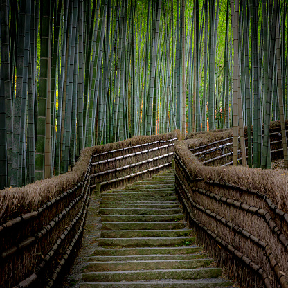 staircase in the bamboo forest of arashiyama in Kyoto