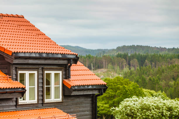 istock Forest landscape, house red roof in foreground 1960484481