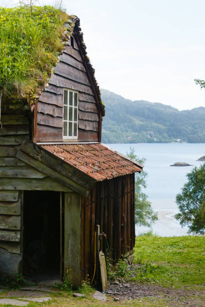 istock House roof covered with moss 1960486036