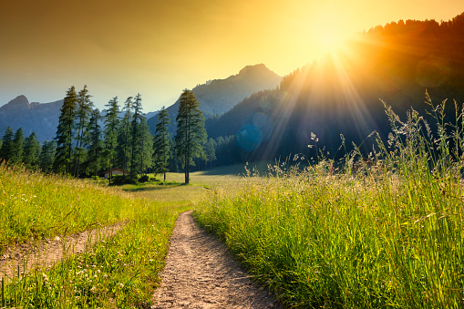 A hiking trail in Boulder, Colorado heading towards the Flatirons.