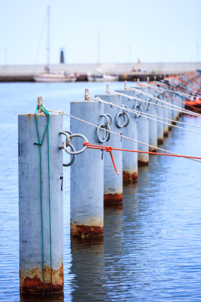 istock row of metal bollards on the dock 1960551335