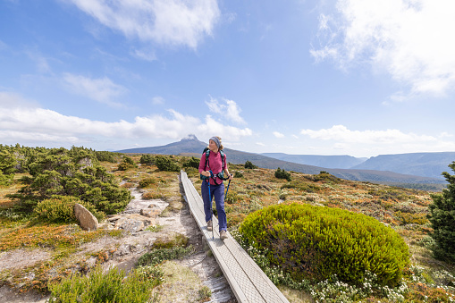 Embark on a visual journey as a young woman explores the breathtaking landscapes of Tasmania. With each step, she immerses herself in the natural beauty, creating a captivating scene of adventure and discovery.