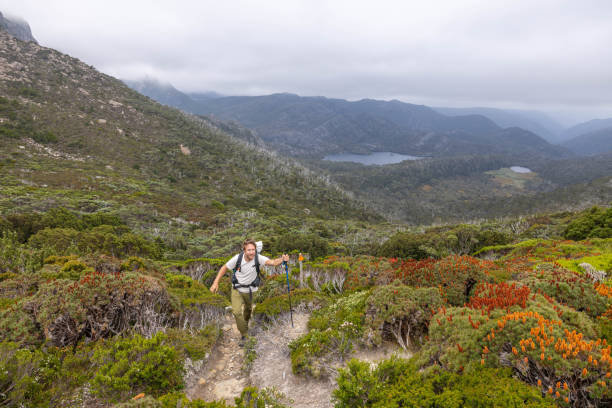 istock Endurance Journey: Man Hiking with Stormy Sky on Long-Distance Trail 1960557284