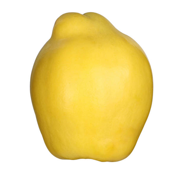 istock Single quince isolated on white, delicious whole quince, isolated background, clipping path. 1960558409