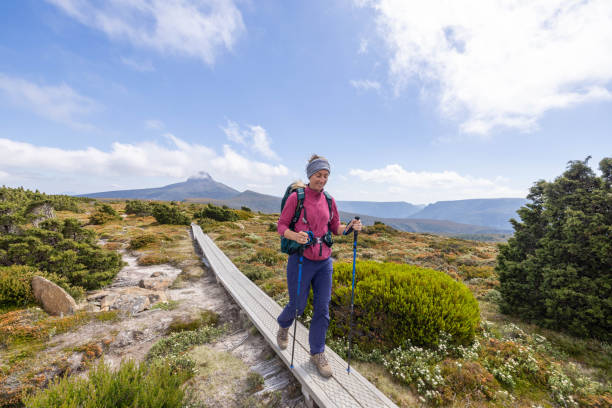 istock Tasmanian Trek: Young Woman Exploring Nature 1960573484