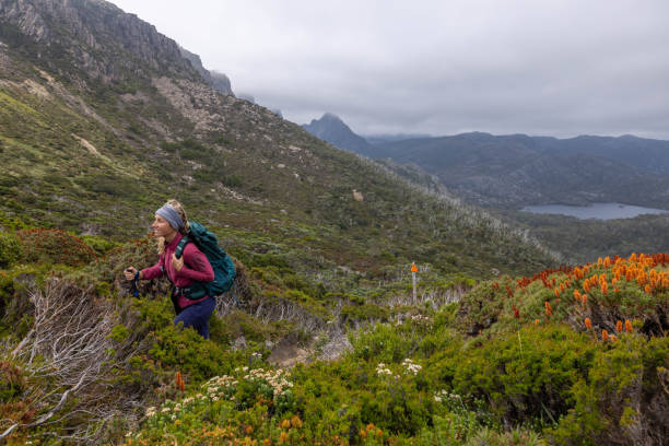 istock Mountain Ascent: Woman Hiking with Stormy Sky 1960573489