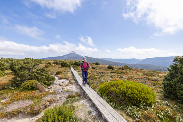 istock Tasmanian Trek: Young Woman Exploring Nature 1960573491
