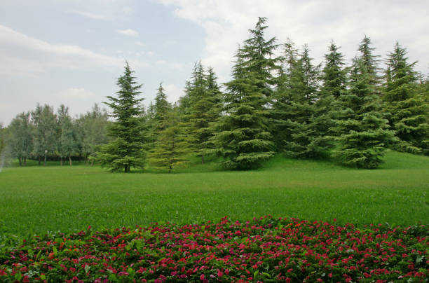 Botanic Park in Bursa, Turkey