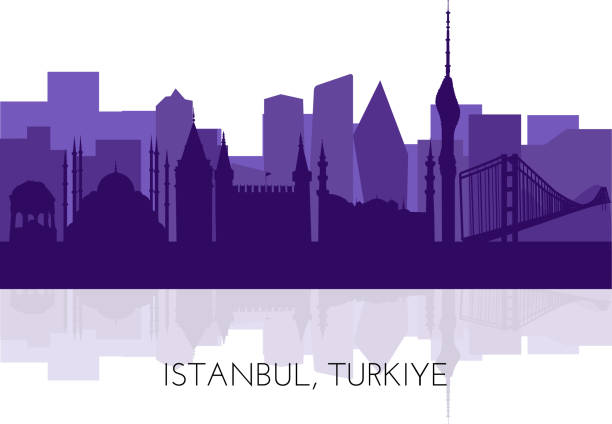 Istanbul, Turkiye skyline, silhouette. This illustration represents the country with its most notable buildings. Vector is fully editable, every object is holistic and movable Silhouettes of Istanbul, vector illustration. Famous architecture landmarks Topkapi palace, Sultanahmet Mosque, German fountain, Galata Tower, TV tower, Bosphorus Bridge abstract backgrounds architecture sunbeam stock illustrations