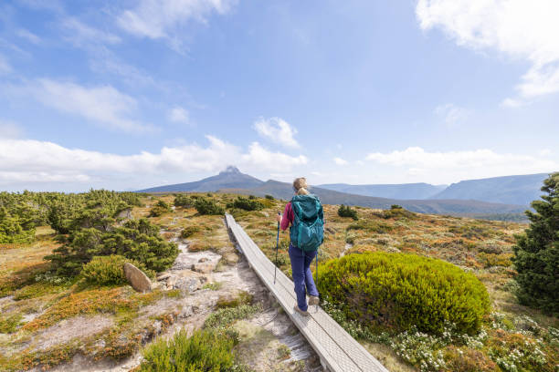 istock Tasmanian Trek: Young Woman Exploring Nature 1960615913