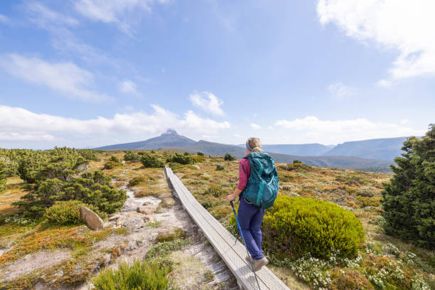 istock Tasmanian Trek: Young Woman Exploring Nature 1960615918