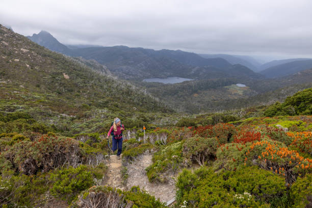 istock Mountain Ascent: Woman Hiking with Stormy Sky 1960618575