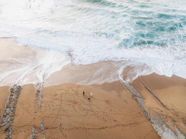 People and dogs on a beach at sunset as seen from above